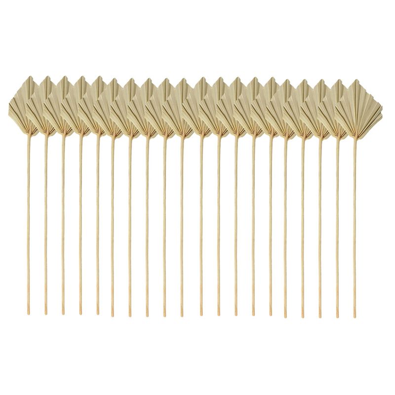Palm Leaf Dried - أوراق نخيل مجففة صغيرة طبيعية للديكور