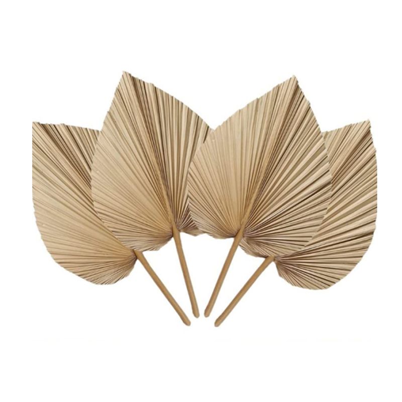 Palm Leaf Dried - 6 قطع من أوراق النخيل الاستوائية