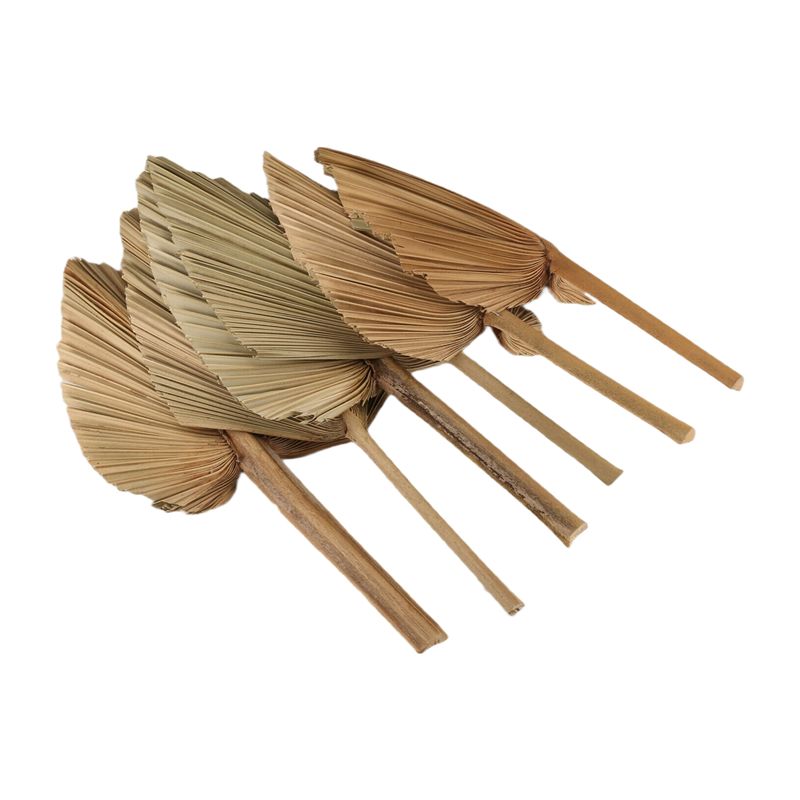 Palm Leaf Dried - أوراق نخيل مجففة طبيعية من ABKO