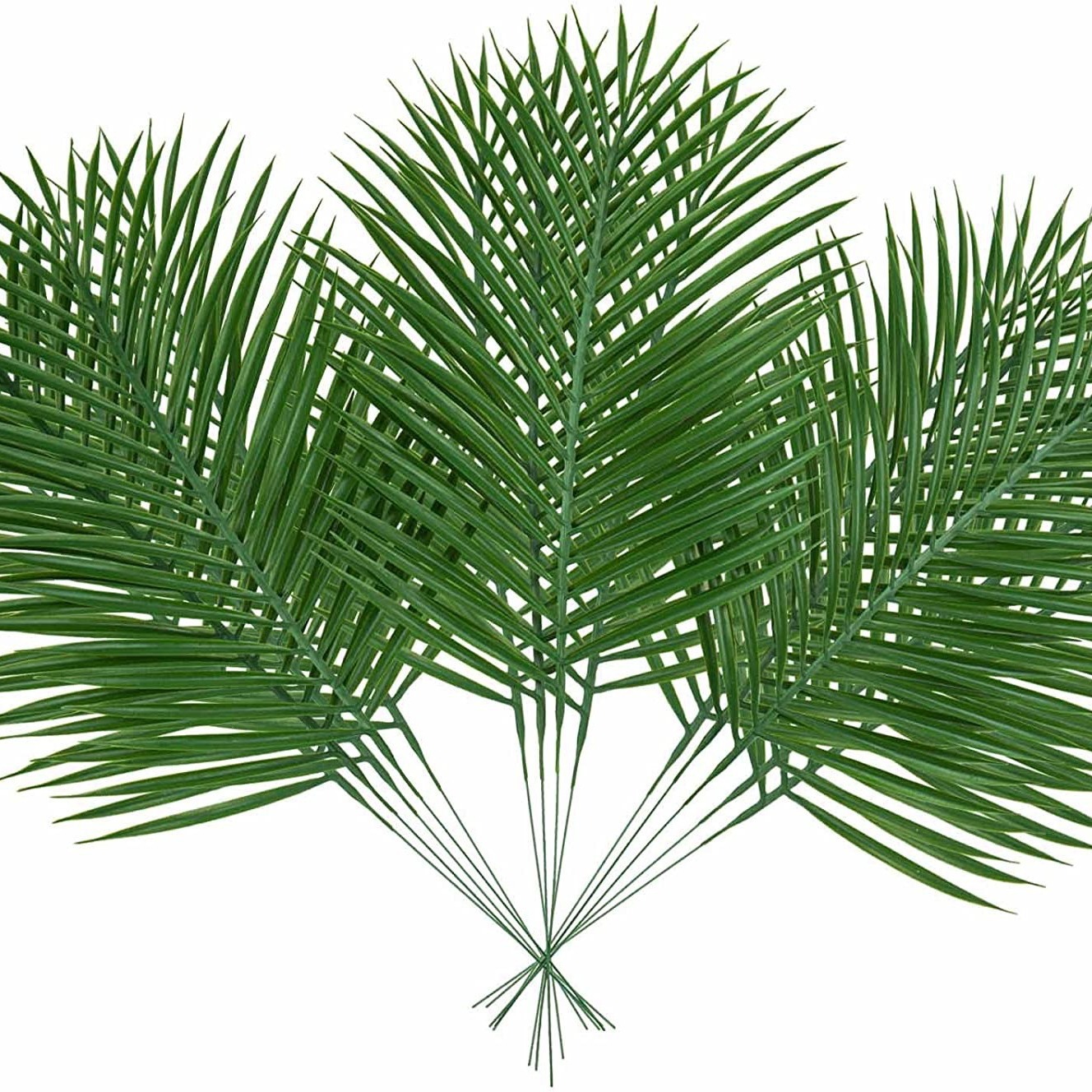 5 قطعة أوراق النخيل الاصطناعية - مراجعة Palm Leaf Dried وسعره
