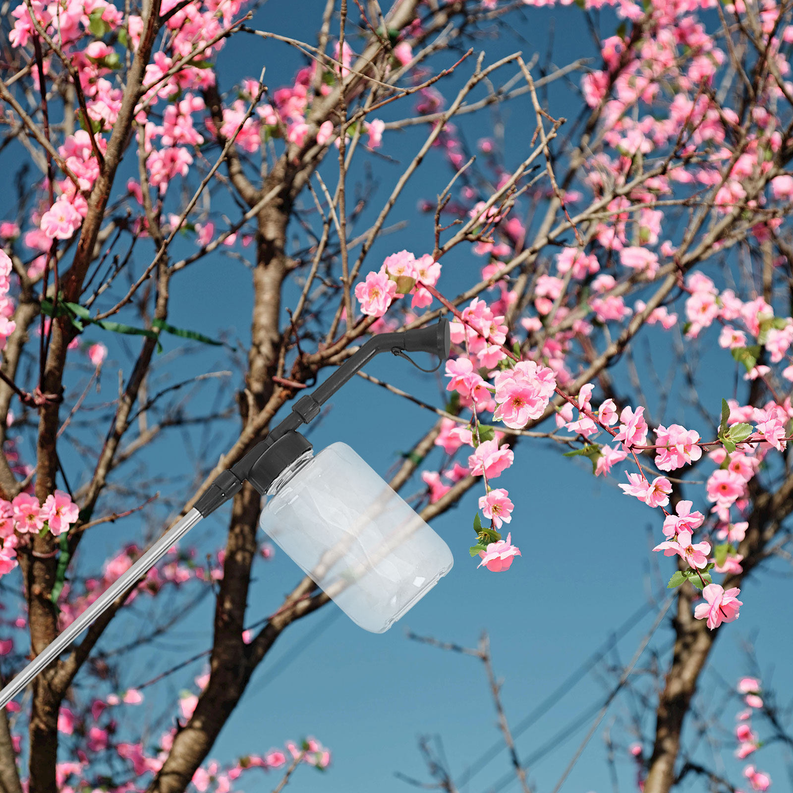 عصا تلقيح يدوية، أداة تلقيح مح - مراجعة Flower Supply وسعره