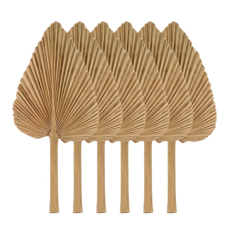 أوراق نخيل مجففة طبيعية AT84-6 - مراجعة Palm Leaf Dried وسعره