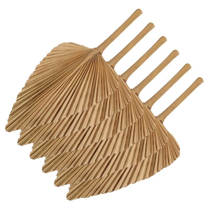 أوراق نخيل مجففة طبيعية AT84-6 - مراجعة Palm Leaf Dried وسعره