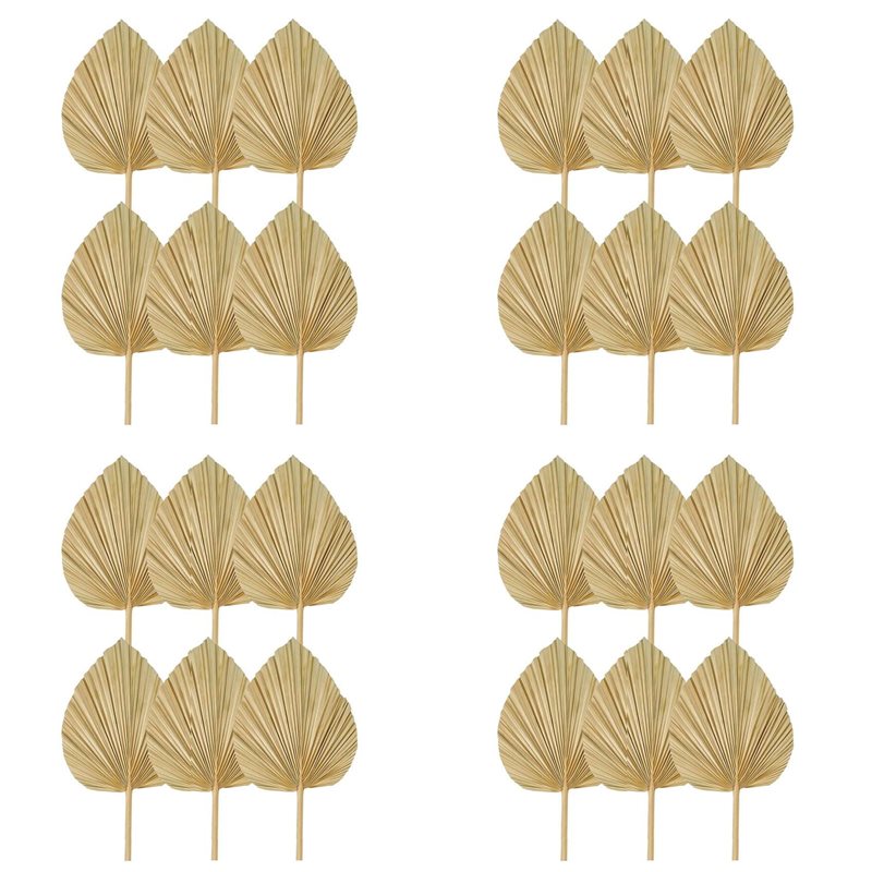 【عيد الميلاد】24 قطعة من أوراق  - مراجعة Palm Leaf Dried وسعره