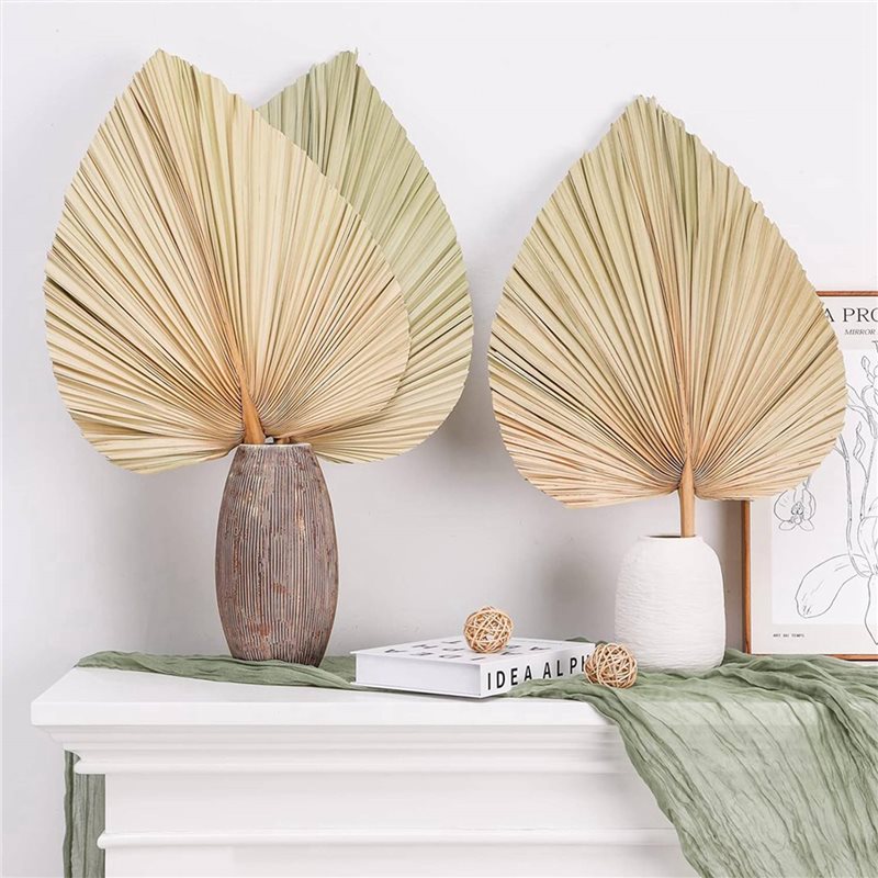 【عيد الميلاد】24 قطعة من أوراق  - مراجعة Palm Leaf Dried وسعره