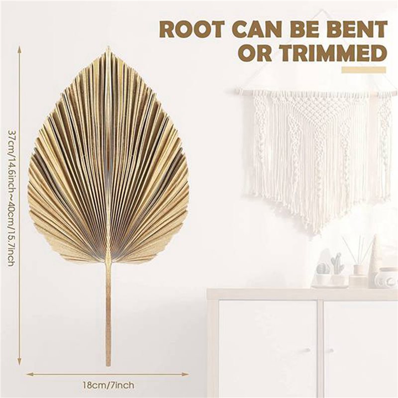 【عيد الميلاد】24 قطعة من أوراق  - مراجعة Palm Leaf Dried وسعره