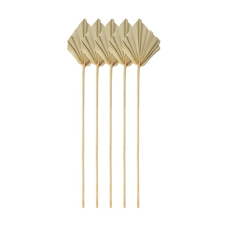 A67P-Boho أوراق نخيل مجففة صغي - مراجعة Palm Leaf Dried وسعره