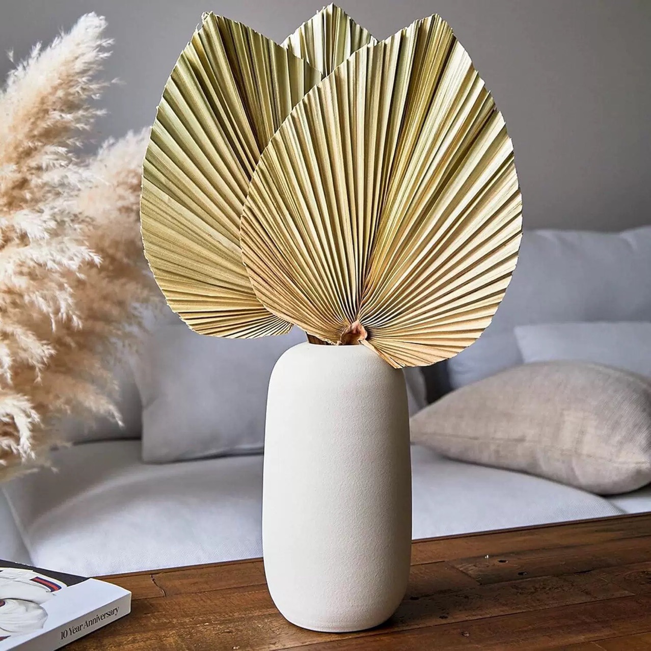 3 قطع من أوراق النخيل الطبيعية - مراجعة Palm Leaf Dried وسعره