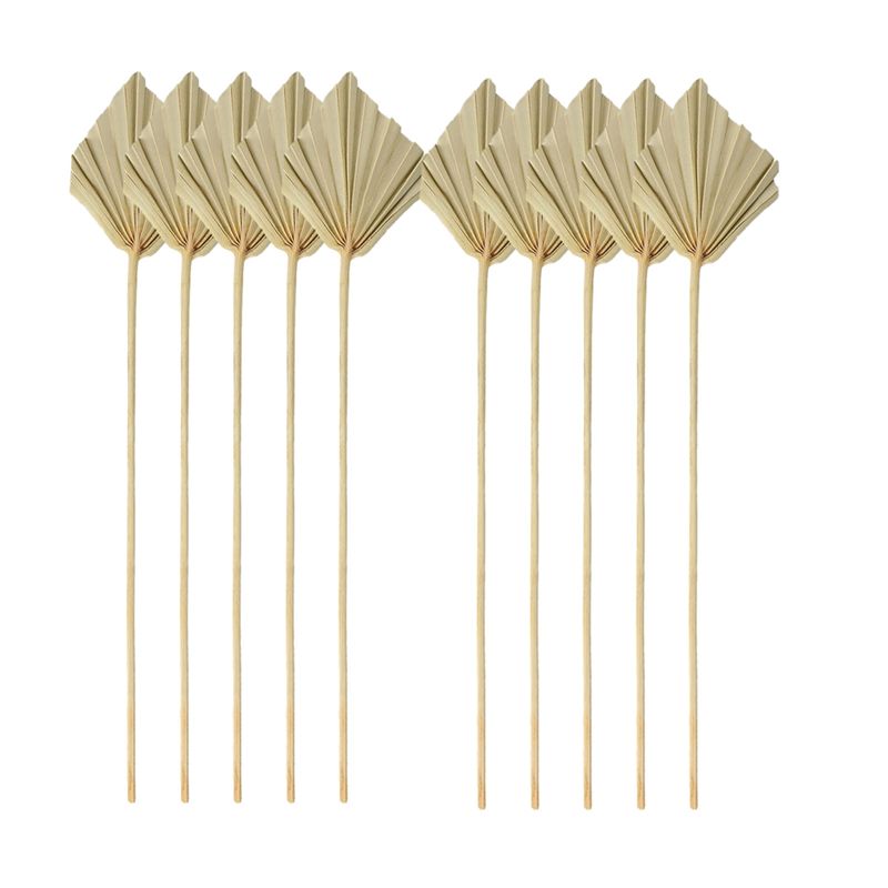 TFORU-Boho أوراق نخيل مجففة صغ - مراجعة Palm Leaf Dried وسعره