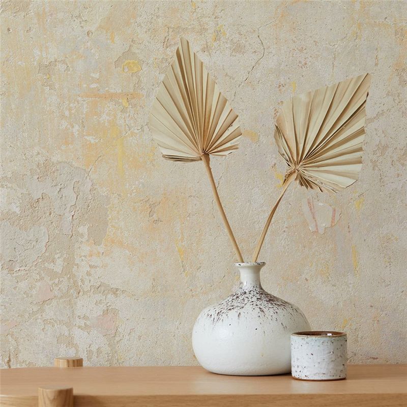 TFORU-Boho أوراق نخيل مجففة صغ - مراجعة Palm Leaf Dried وسعره