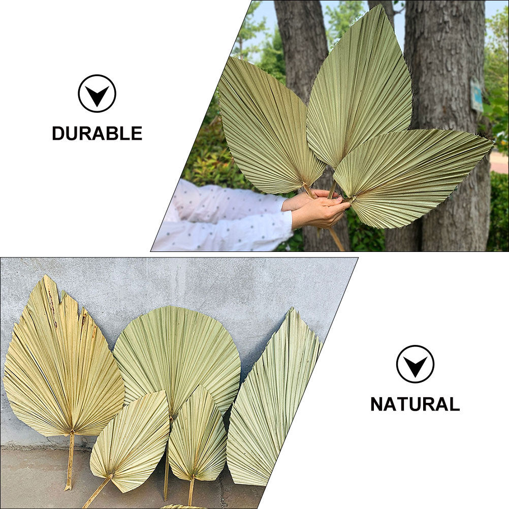1 قطعة من أوراق النخيل الطبيعي - مراجعة Palm Leaf Dried وسعره
