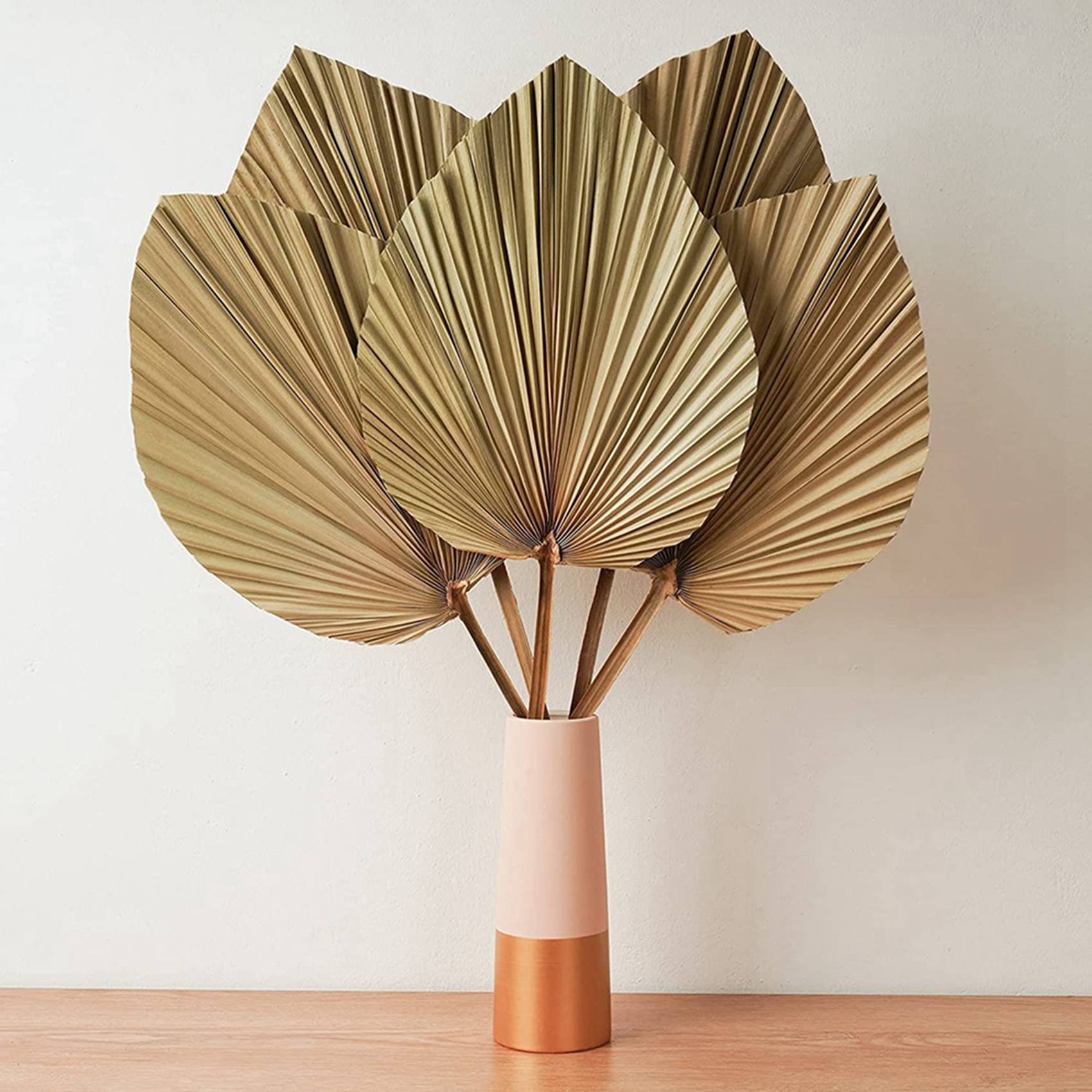 أوراق نخيل مجففة لتزيين الغرف  - مراجعة Palm Leaf Dried وسعره