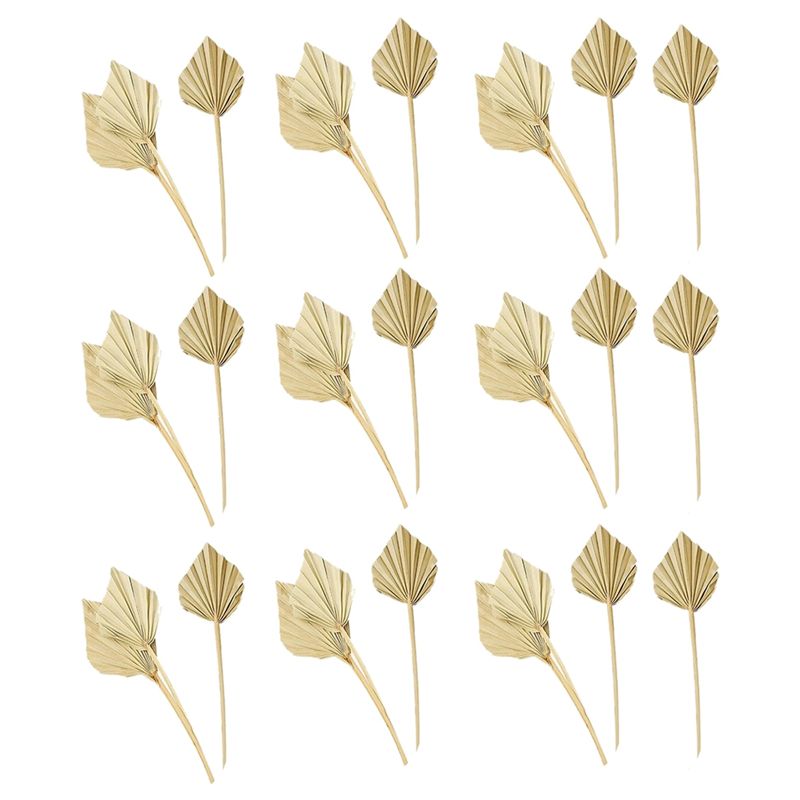 A36T-30 قطعة من أوراق النخيل ا - مراجعة Palm Leaf Dried وسعره