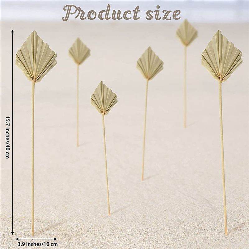 A36T-30 قطعة من أوراق النخيل ا - مراجعة Palm Leaf Dried وسعره