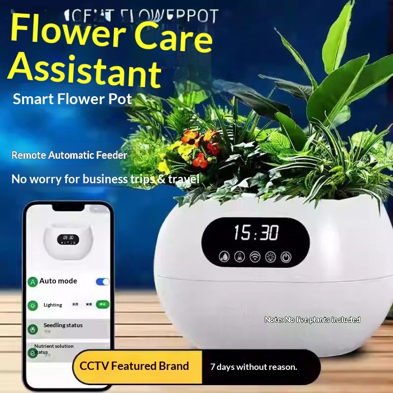 وعاء زهور ذكي بتقنية الذكاء ال - مراجعة Flower Supply وسعره