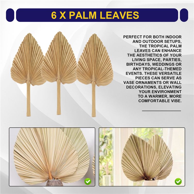 أوراق نخيل مجففة طبيعية من ABK - مراجعة Palm Leaf Dried وسعره
