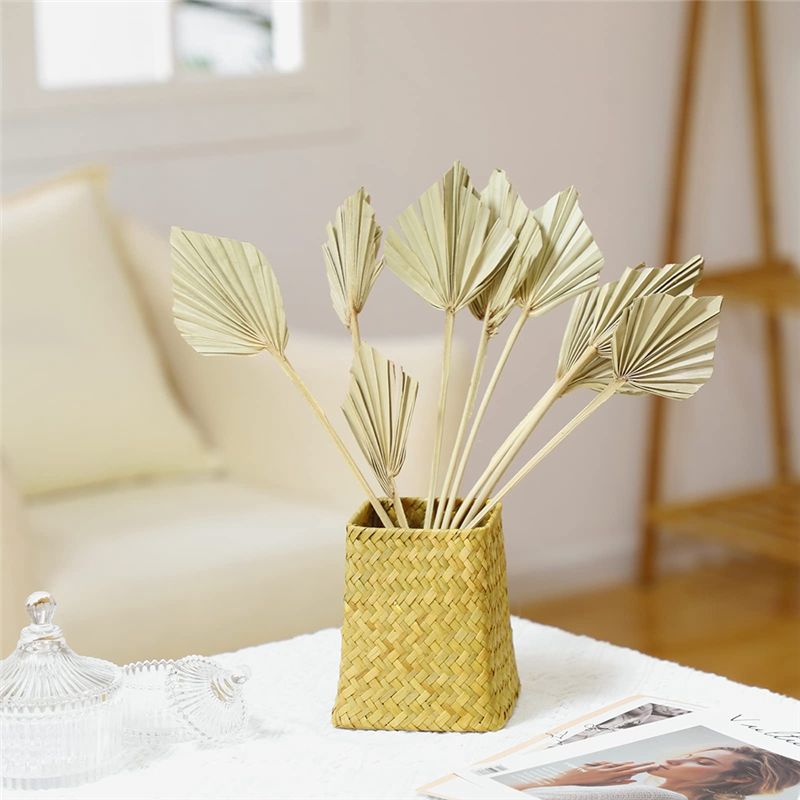 HLZS-Boho أوراق نخيل مجففة صغي - مراجعة Palm Leaf Dried وسعره